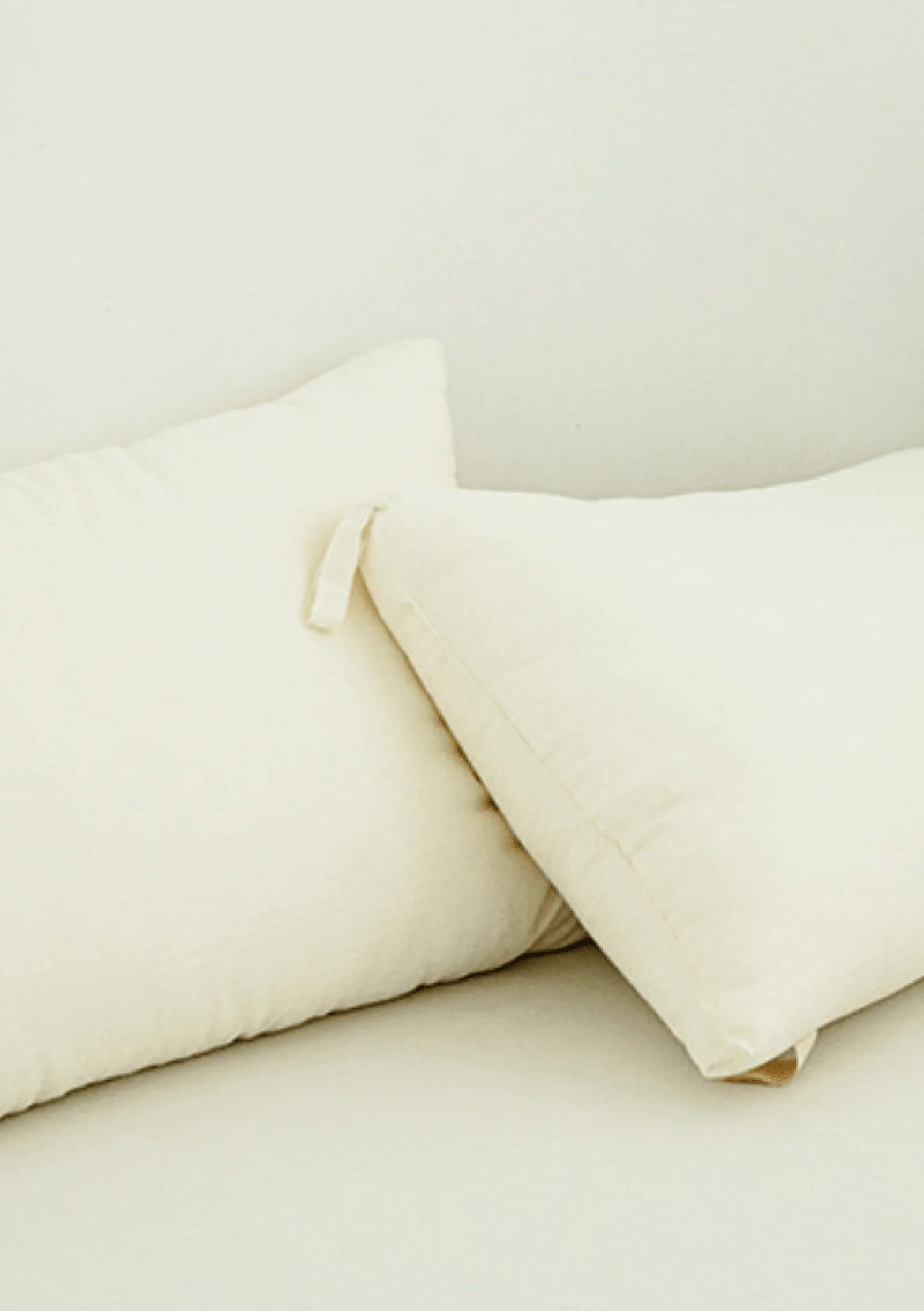 Plant Based Pillow